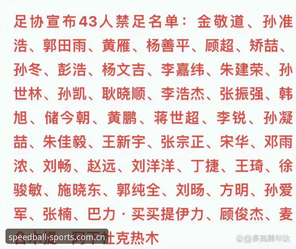 中国足协第三批禁足名单详解：17人终身禁赛背后的足球生态反思